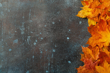 Autumn background with fall maple leaves on rusted metallic surface