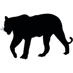 Tiger Silhouette, Animal Vector Illustration