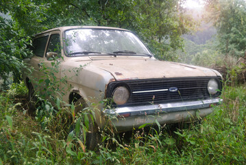 Sucata de carro antigo abandonado no meio de um bosque, ferrugento em contra luz com arbustos