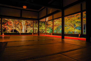 秋の京都・宝泉院の紅葉 - obrazy, fototapety, plakaty