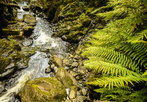 Waterfall at Glenariff Park, Ballymena, County Antrim 