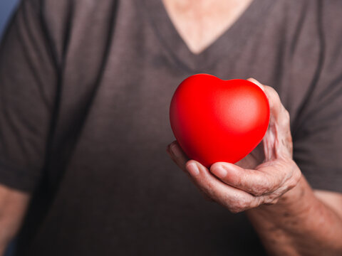 Hand of a senior woman holding a red heart shape. Close-up photo. Aged people and healthcare concept