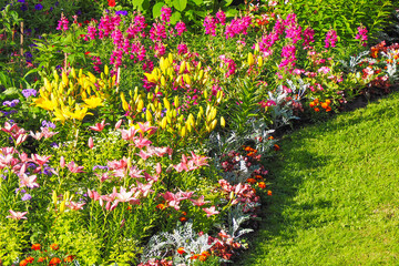 Flowerbed with different color flowers. Colorful garden view, botanical garden