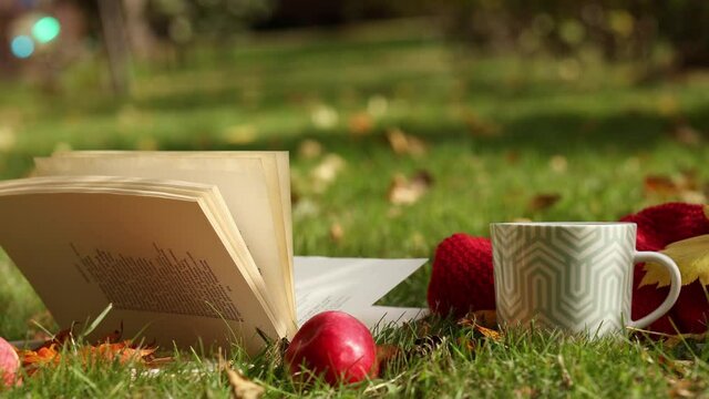 tumn composition on light nature background. Open book, cup of hot tea and cozy sweater on autumn grass with leaves in park. High quality 4k footage