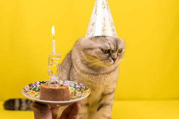 A sad cat in a festive hat turned away from a festive cake with candles. Sad birthday. The concept...