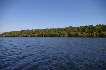 Lake with trees and sky