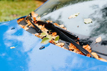 Fallen wet autumn leaves lying on windshield and wipers of car outdoors, close-up. Selective focus