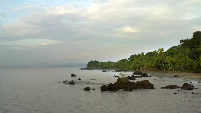 Pacific Coast With Rainforest