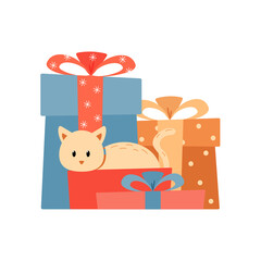 Cute cat in a box on the background of gifts.