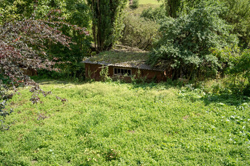 Destroyed building in mountainous terrain on sunny day. Ruined house in desolate place among green trees in summer