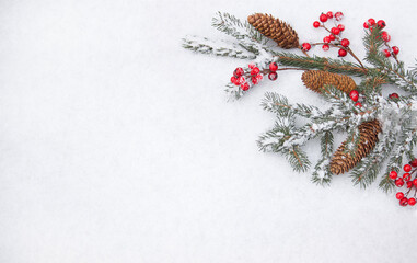 Winter flat lay.  Christmas branches on a light snowy background. New year background.