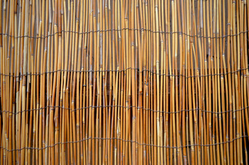 Bamboo background texture