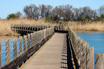 Naklejka premium Wooden footbridge in a lake