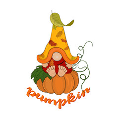 Little cheerful gnome sits on a pumpkin. Autumn illustration.