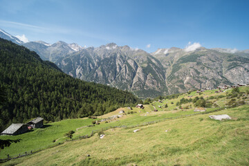 Fototapeta na wymiar landscape near gasenried in the canton of valais in switzerland. 