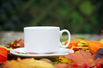 a cup of coffee tea in autumn on the table with yellow and orange leaves