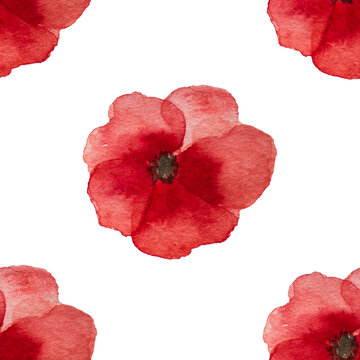Beautiful picture of poppy flowers. Happy Remembrance Day. Close-up, top view. National holiday concept. Congratulations for family, relatives, friends and colleagues
