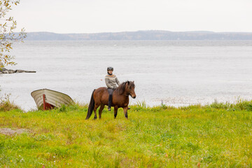 Icelandic horse in autumn season enviroment by the lake in Finland. Female rider.