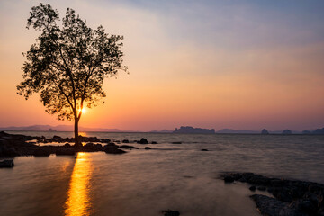 Fototapeta na wymiar Silhouette tree and seascape at sunset, Krabi
