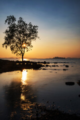 Fototapeta na wymiar Silhouette tree and seascape at sunset, Krabi