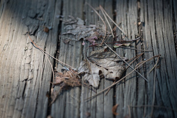 old wooden steps with rotting leaves and pine needles