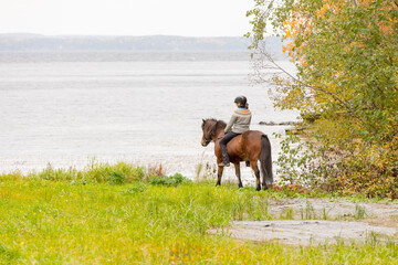 Icelandic horse in autumn season enviroment by the lake in Finland. Female rider.