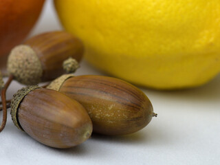acorns, lemon and tangerine