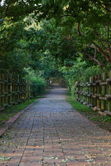 Park walkway path with sunlight shining through tree branches