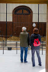 Couple dans un jardin zoologique