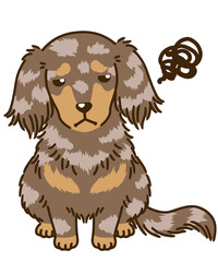 不満があるダックスフンド（チョコダップル）