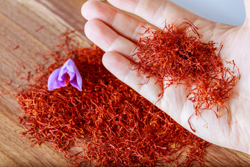 Dried saffron stamens in the hand of a farmer. Ready spice for use in the kitchen.