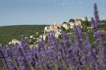 Lavande à Simiane La Rotonde