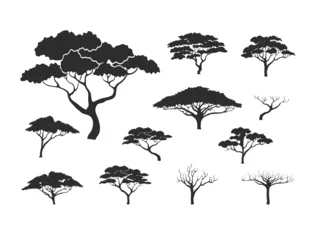 Foto op Aluminium acacia tree vector collection, silhouette of acacia tree © Kareemov