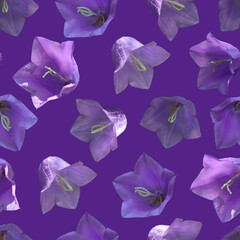 Blue forest flowers seamless pattern. Blue forest flowers in the form of bells. 