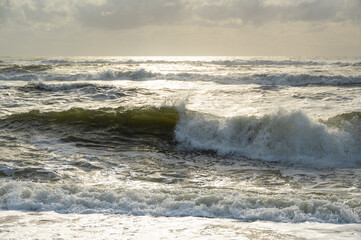 Troubled sea, breaking waves and green water flooded with golden light in the sunset.