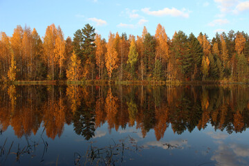 autumn trees reflected in water