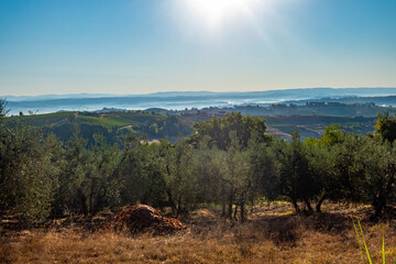 Landscapes in Tuscany between Gambassi Terme and San Gimignano, along via Francigena