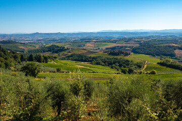 Fototapeta na wymiar Landscapes in Tuscany between Gambassi Terme and San Gimignano, along via Francigena