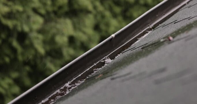 Gutter pipe on a house roof