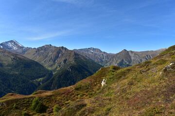 Fototapeta na wymiar Österreich-Alpen