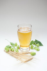 Glass of beer with hops and barley