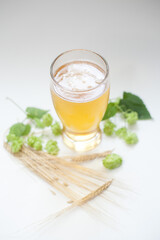 Glass of beer with hops and barley