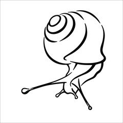 Vector black and white linear illustration of a snail