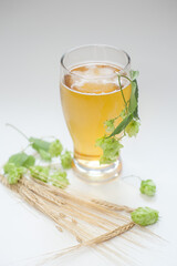 Glass of beer with hops and barley