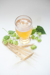 Glass of beer with hops and barley