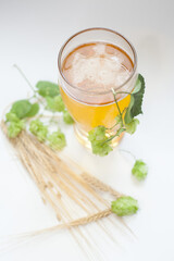 Glass of beer with hops and barley