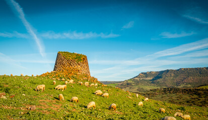 Nuraghe surrounded by sheep under a clear sky at sunset - obrazy, fototapety, plakaty