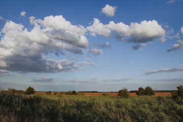  meadows and fields in the rays of the autumn sun