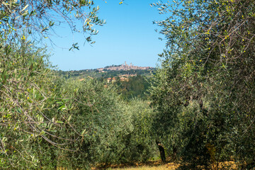 Colorful skyline of little ancient town of San Gimignano, Tuscany, along via Francigena