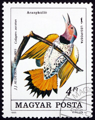 Postage stamp Hungary 1985 common flicker, a bird